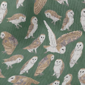 Barn Owl In Different Poses Terry