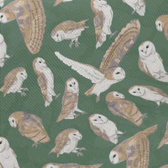 Barn Owl In Different Poses Twill