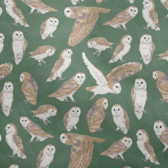 Barn Owl In Different Poses Dobby