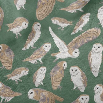 Barn Owl In Different Poses Minky