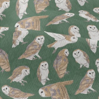 Barn Owl In Different Poses Modern Jersey
