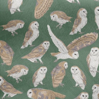 Barn Owl In Different Poses Jersey Backed Fleece