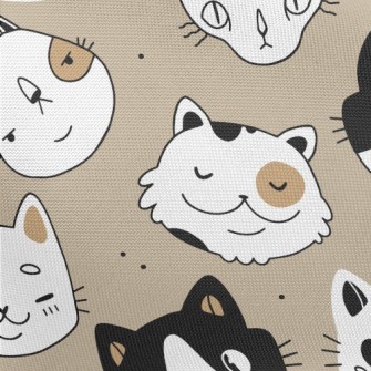 Naughty Cat Showing Various Ex Pongee