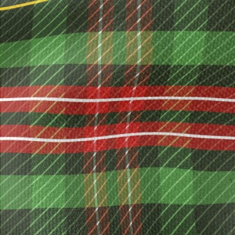 Christmas Color Plaid Waterproof Canvas