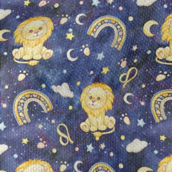 Leo Shining In The Starry Sky Waterproof Canvas