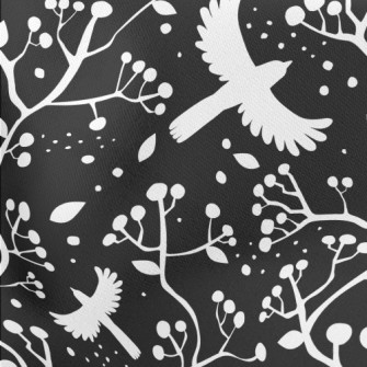 Black And White Flying Birds A Stretch Ponte