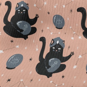 Black Cat Fortune Teller Terry