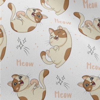 Funny Kittens Playing Chiffon