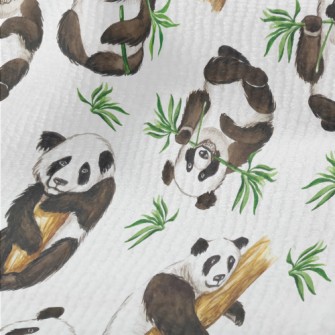 Pandas Are Enjoying A Feast Terry