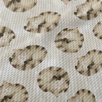 Striped Cat Curled Up Birdseye Piqué