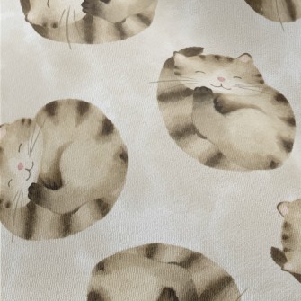 Striped Cat Curled Up Chiffon