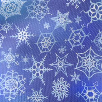 Winter Snowflakes Pattern Waterproof Canvas