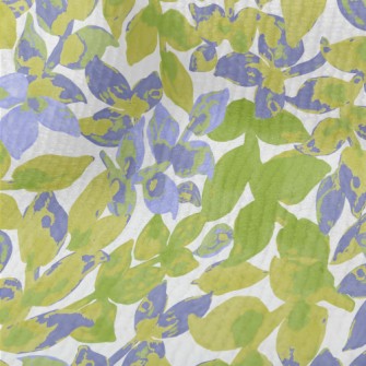 Hand Drawn Watercolor Plants Terry