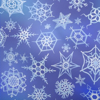 Winter Snowflakes Pattern Dobby