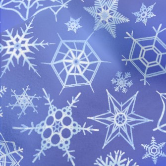 Winter Snowflakes Pattern Micro Fleece