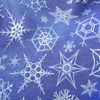 Winter Snowflakes Pattern Minky