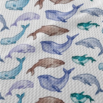 Colorful Whale Illustration Birdseye Piqué
