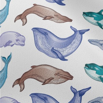 Colorful Whale Illustration Chiffon