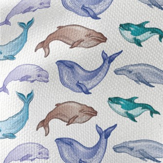 Colorful Whale Illustration Waterproof Canvas