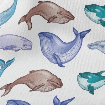Colorful Whale Illustration Terry