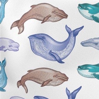 Colorful Whale Illustration Stretch Ponte