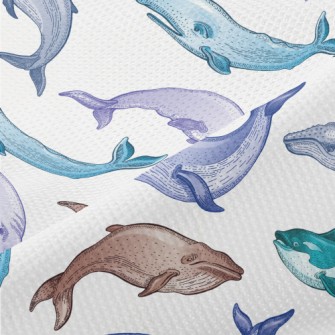 Colorful Whale Illustration Piqué