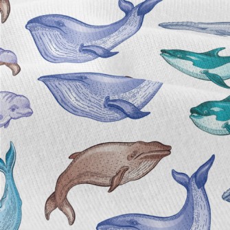 Colorful Whale Illustration Modern Jersey
