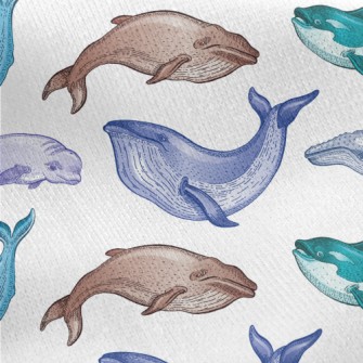 Colorful Whale Illustration Jersey Backed Fleece