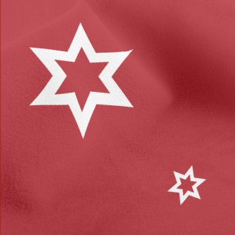 White Stars Of Varying Sizes Micro Fleece