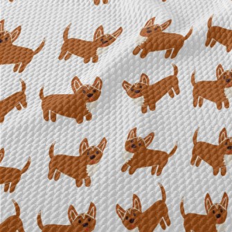 Cute Corgi Graffiti Birdseye Piqué