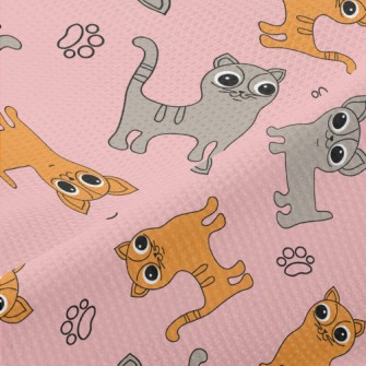 Big-eyed Cat And Chihuahua Piqué