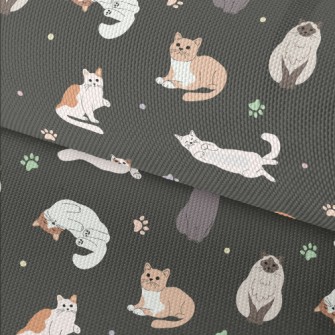 Relaxed And Comfortable Cat Waterproof Oxford