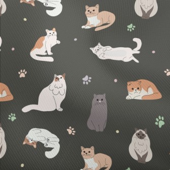 Relaxed And Comfortable Cat Dobby