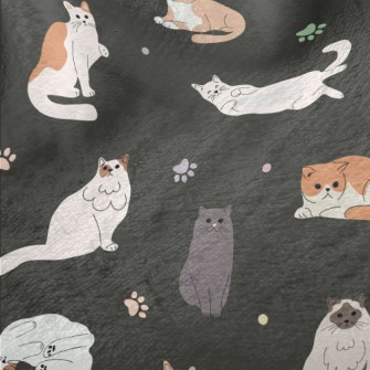 Relaxed And Comfortable Cat Minky