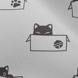 Cute Cardboard Box Cat Chiffon
