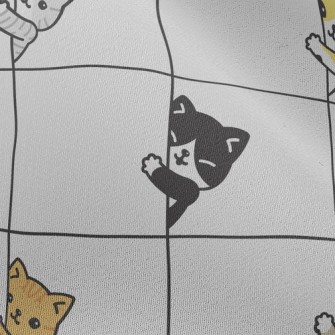 Kitten Family Peek Chiffon