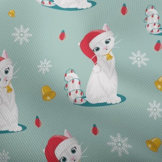 Beautiful Christmas Kitten Dobby