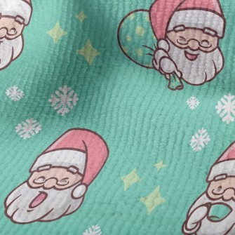 Santa Claus With Various Expre Terry