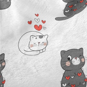Couple Cats Who Like Each Othe Minky