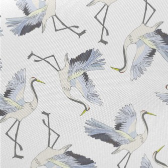 Red-crowned Cranes Spread Thei Twill