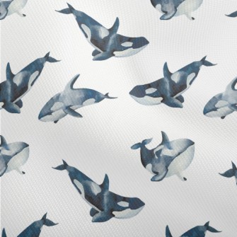 Killer Whales Swimming Freely Dobby