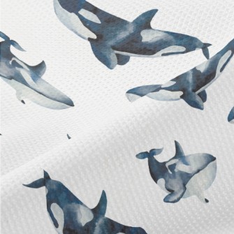 Killer Whales Swimming Freely Piqué