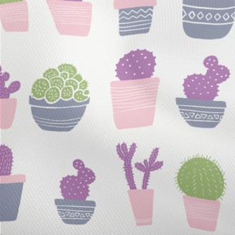 Succulent Potted Plants Dobby