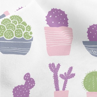Succulent Potted Plants Micro Fleece