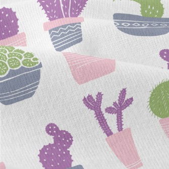 Succulent Potted Plants Modern Jersey