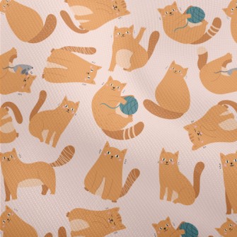 Cute Cat Who Loves To Play Dobby