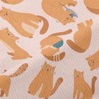 Cute Cat Who Loves To Play Piqué