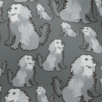 Gray Long-haired Dog Chiffon