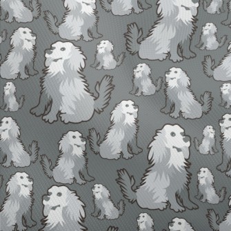 Gray Long-haired Dog Dobby