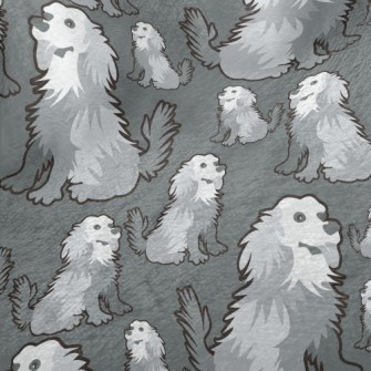 Gray Long-haired Dog Minky